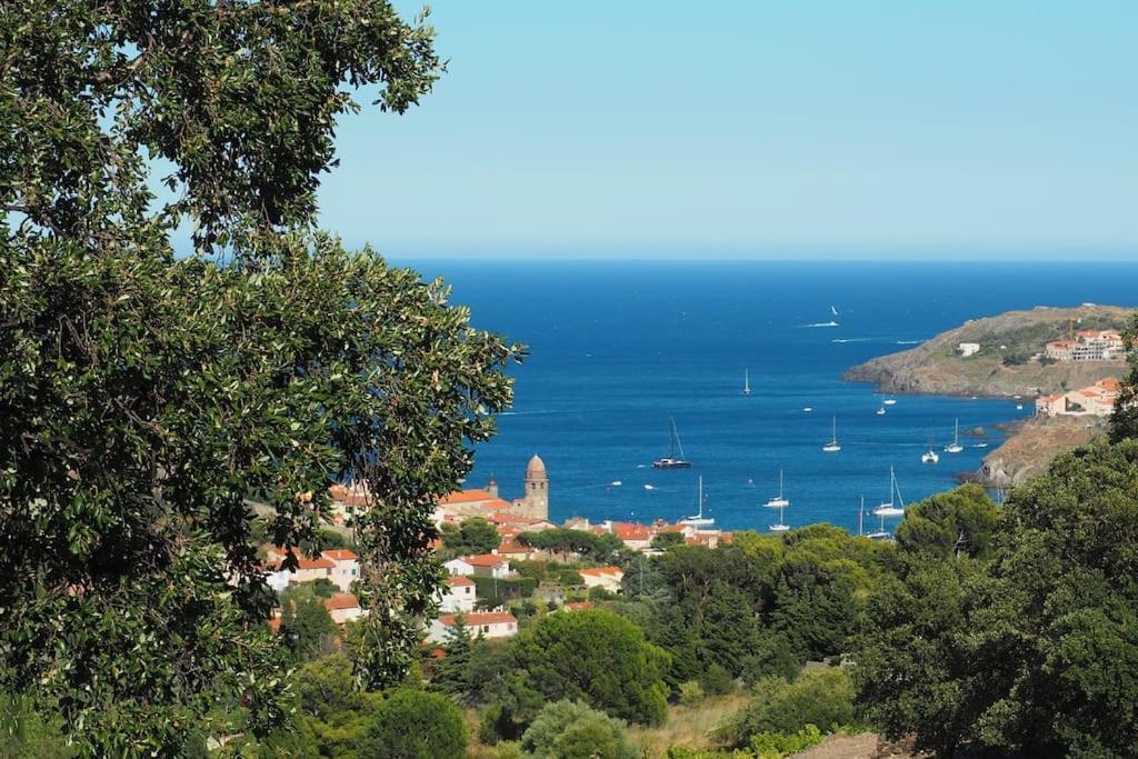 Villa Collioure Mar I Munt 外观 照片